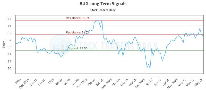 BUG Long Term Analysis for May 31 2025 BUG Long Term Analysis for May 31 2025