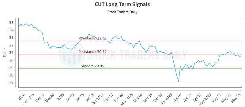 CUT Long Term Analysis for June 1 2025
