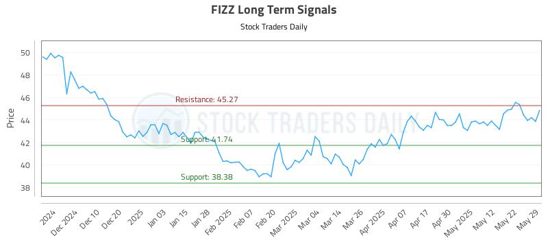 FIZZ Long Term Analysis for June 1 2025