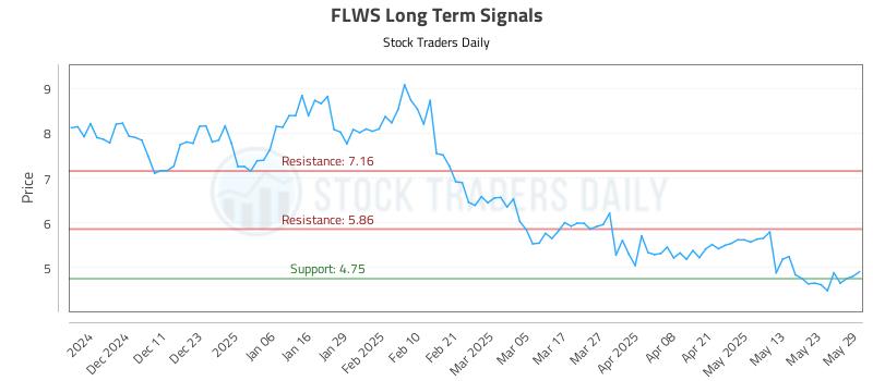 FLWS Long Term Analysis for June 2 2025