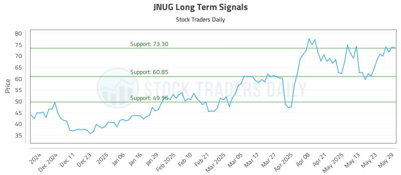 JNUG Long Term Analysis for June 2 2025 JNUG Long Term Analysis for June 2 2025