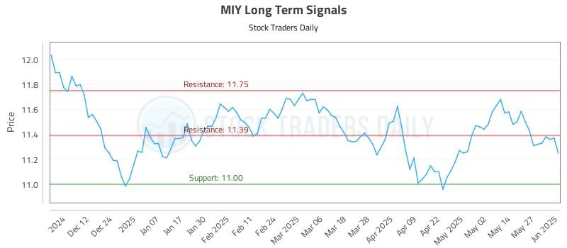 MIY Long Term Analysis for June 3 2025