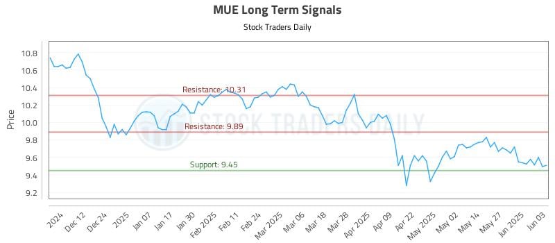 MUE Long Term Analysis for June 3 2025