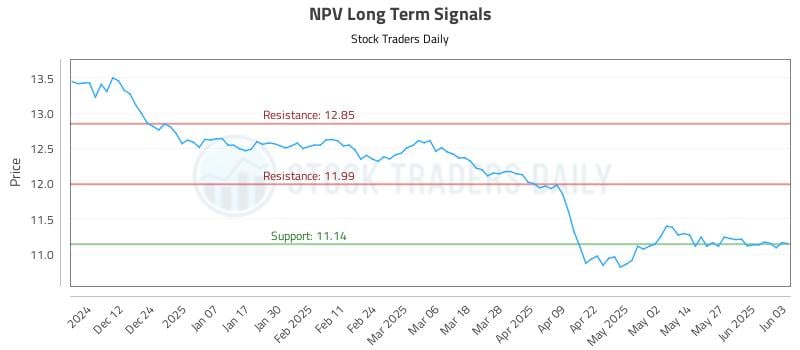 NPV Long Term Analysis for June 3 2025 NPV Long Term Analysis for June 3 2025