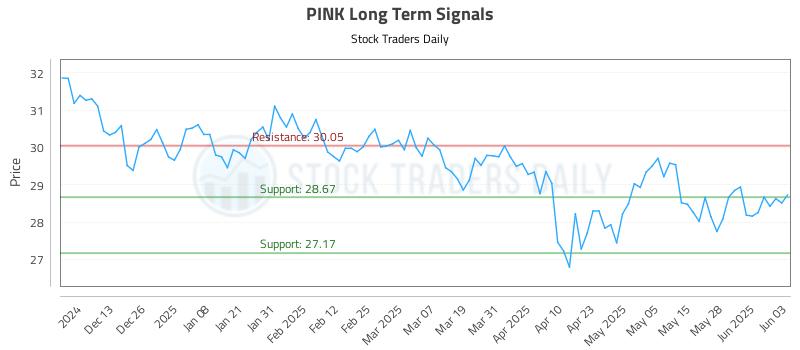 PINK Long Term Analysis for June 4 2025