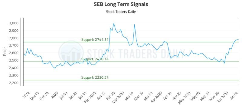 SEB Long Term Analysis for June 4 2025