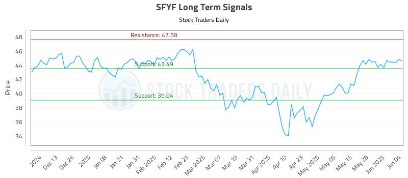 SFYF Long Term Analysis for June 4 2025 SFYF Long Term Analysis for June 4 2025