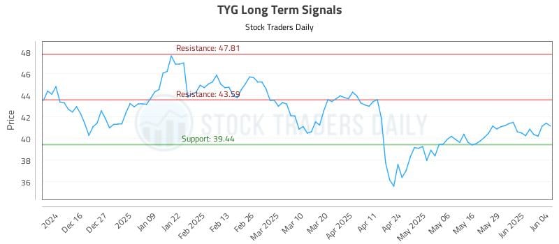 TYG Long Term Analysis for June 5 2025 TYG Long Term Analysis for June 5 2025