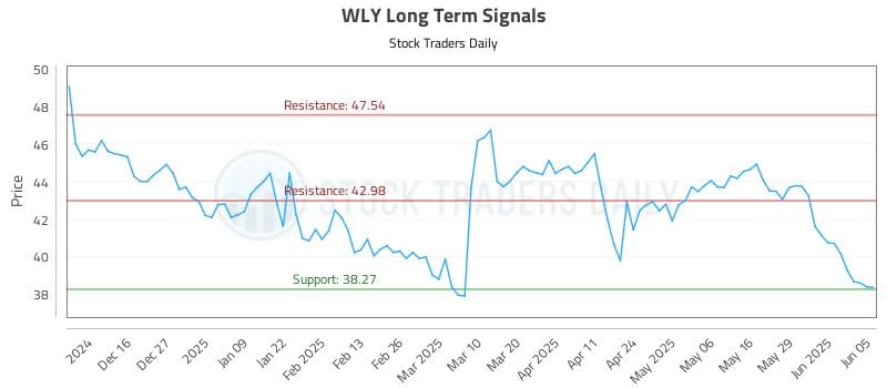 WLY Long Term Analysis for June 5 2025