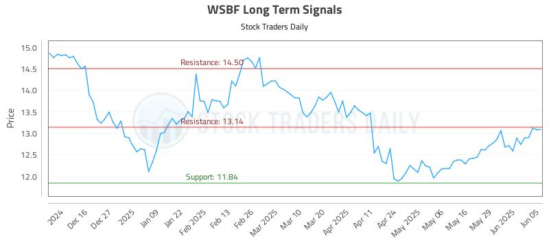WSBF Long Term Analysis for June 5 2025 WSBF Long Term Analysis for June 5 2025