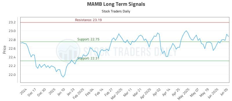 MAMB Long Term Analysis for June 6 2025 MAMB Long Term Analysis for June 6 2025