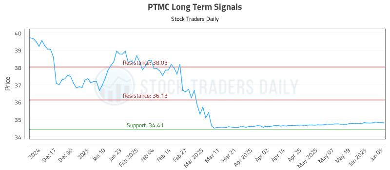 PTMC Long Term Analysis for June 6 2025