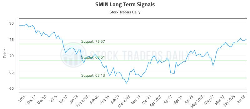SMIN Long Term Analysis for June 6 2025 SMIN Long Term Analysis for June 6 2025