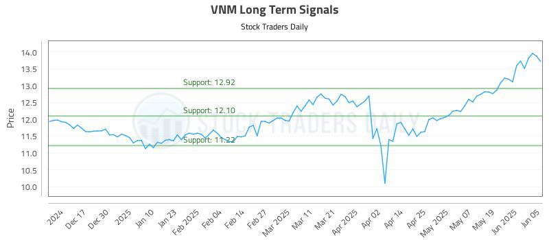VNM Long Term Analysis for June 6 2025 VNM Long Term Analysis for June 6 2025