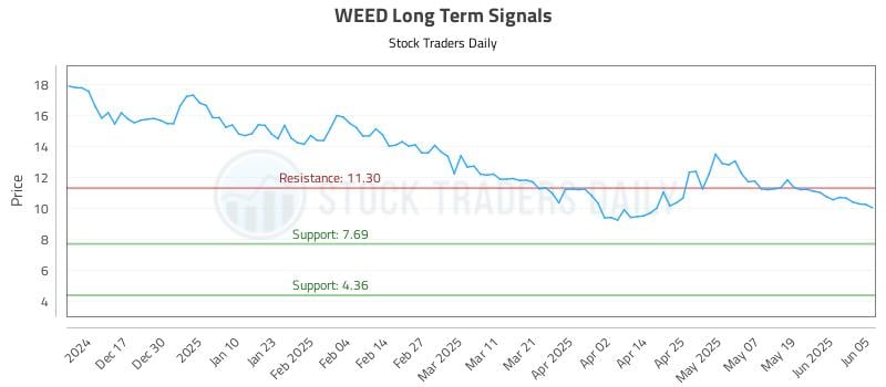 WEED Long Term Analysis for June 6 2025