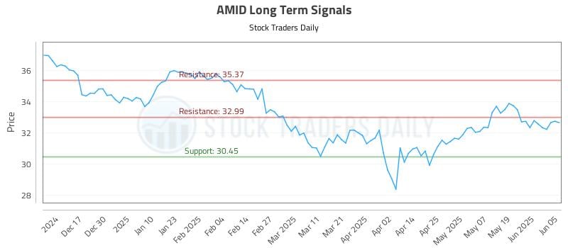 AMID Long Term Analysis for June 6 2025