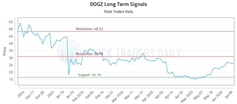 DOGZ Long Term Analysis for June 6 2025 DOGZ Long Term Analysis for June 6 2025