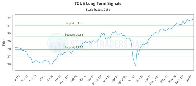 TOUS Long Term Analysis for June 6 2025 TOUS Long Term Analysis for June 6 2025