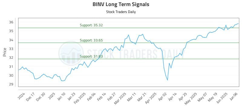 BINV Long Term Analysis for June 7 2025