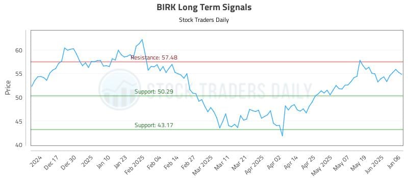 BIRK Long Term Analysis for June 7 2025 BIRK Long Term Analysis for June 7 2025