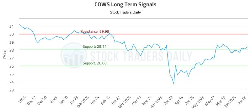 COWS Long Term Analysis for June 7 2025 COWS Long Term Analysis for June 7 2025