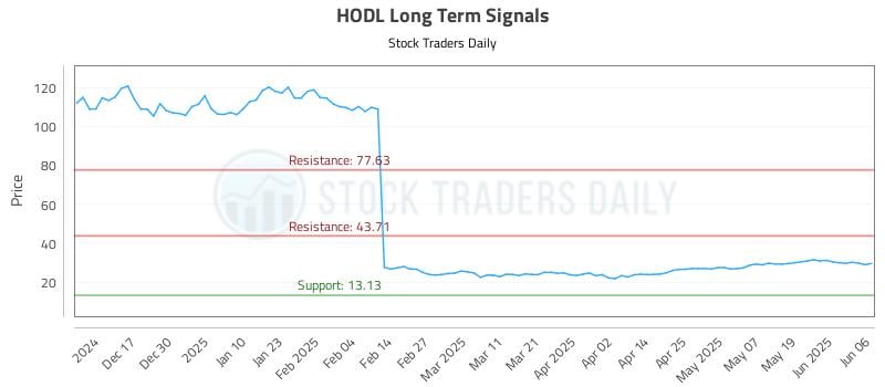 HODL Long Term Analysis for June 7 2025