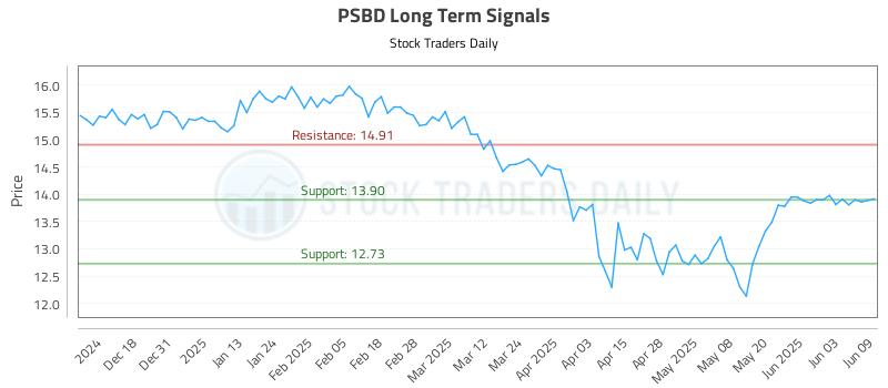 PSBD Long Term Analysis for June 9 2025