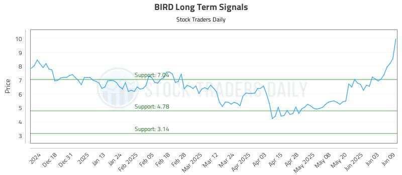 BIRD Long Term Analysis for June 9 2025