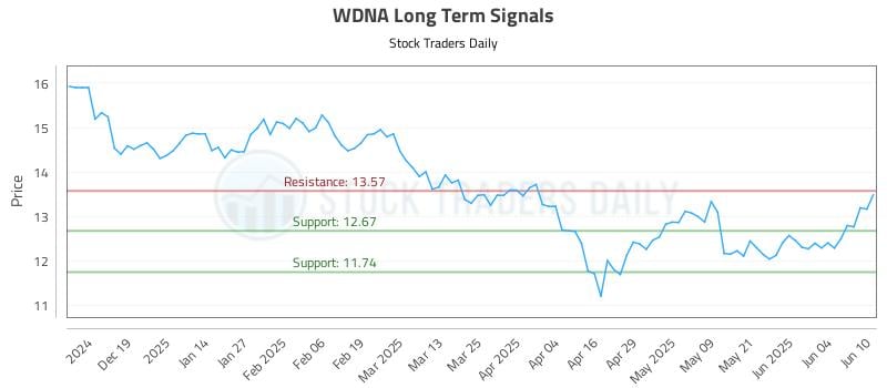 WDNA Long Term Analysis for June 10 2025 WDNA Long Term Analysis for June 10 2025