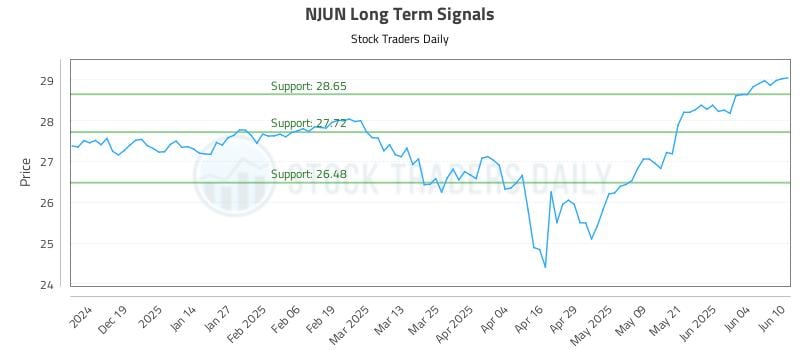 NJUN Long Term Analysis for June 10 2025