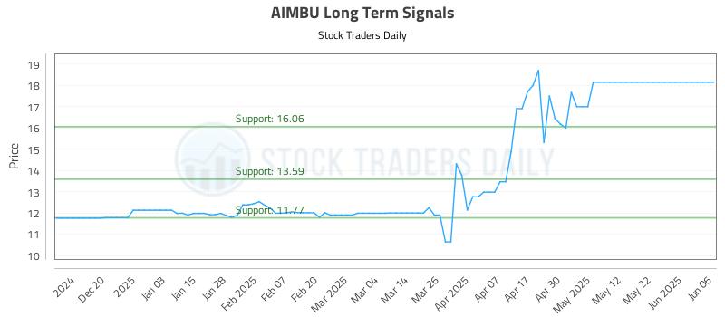 AIMBU Long Term Analysis for June 11 2025 AIMBU Long Term Analysis for June 11 2025