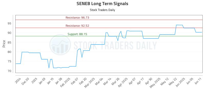 SENEB Long Term Analysis for June 11 2025 SENEB Long Term Analysis for June 11 2025