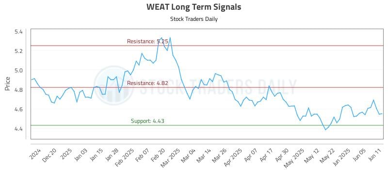 WEAT Long Term Analysis for June 11 2025 WEAT Long Term Analysis for June 11 2025