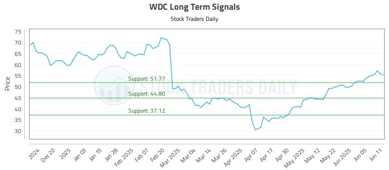 WDC Long Term Analysis for June 11 2025