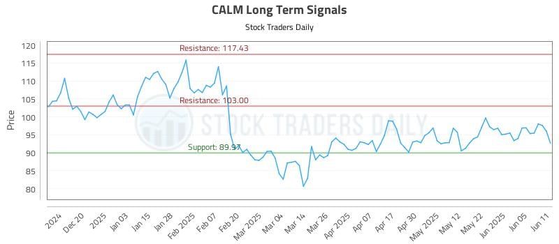 CALM Long Term Analysis for June 11 2025 CALM Long Term Analysis for June 11 2025
