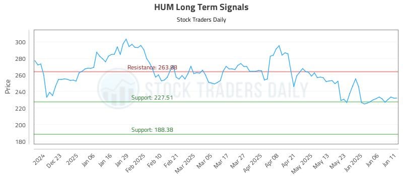 HUM Long Term Analysis for June 12 2025