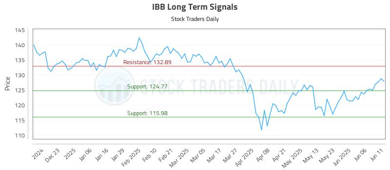 IBB Long Term Analysis for June 12 2025