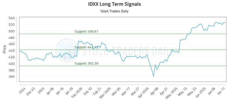 IDXX Long Term Analysis for June 12 2025 IDXX Long Term Analysis for June 12 2025
