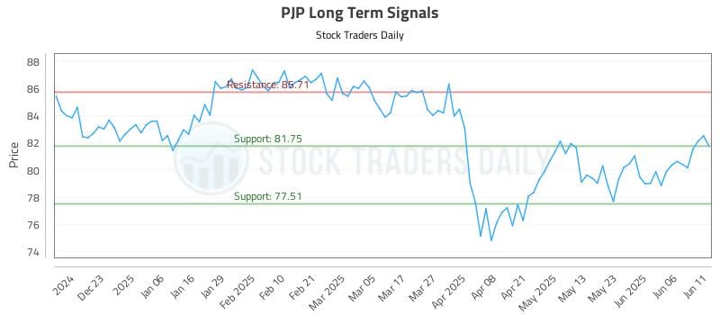 PJP Long Term Analysis for June 12 2025