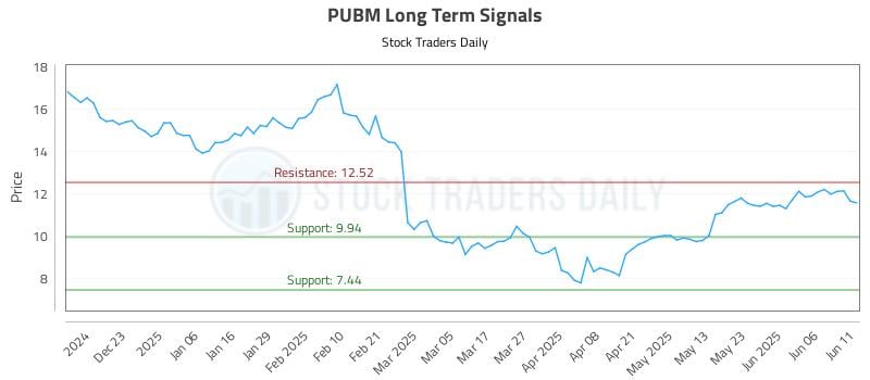 PUBM Long Term Analysis for June 12 2025 PUBM Long Term Analysis for June 12 2025