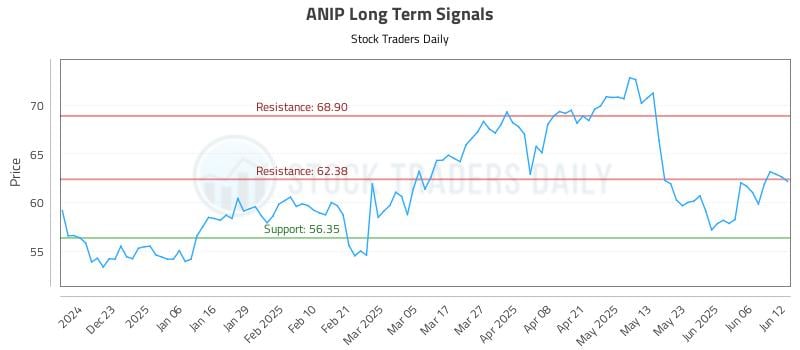 ANIP Long Term Analysis for June 12 2025