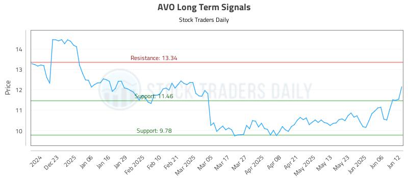 AVO Long Term Analysis for June 12 2025