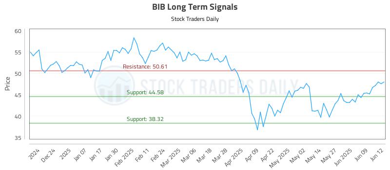 BIB Long Term Analysis for June 13 2025 BIB Long Term Analysis for June 13 2025