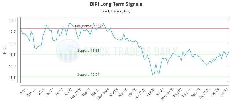 BIPI Long Term Analysis for June 13 2025
