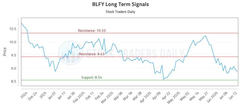 BLFY Long Term Analysis for June 13 2025