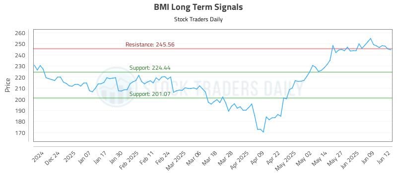 BMI Long Term Analysis for June 13 2025