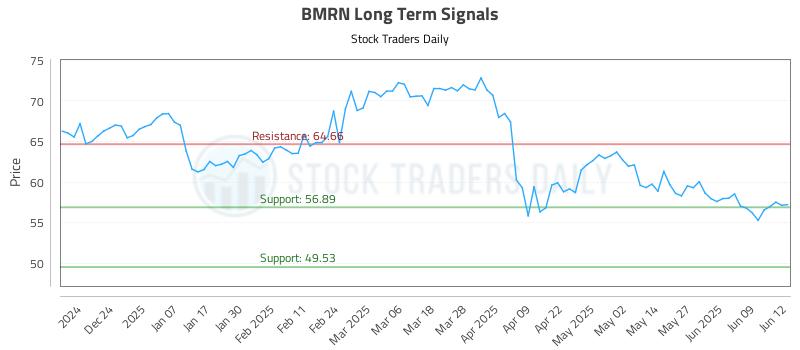 BMRN Long Term Analysis for June 13 2025