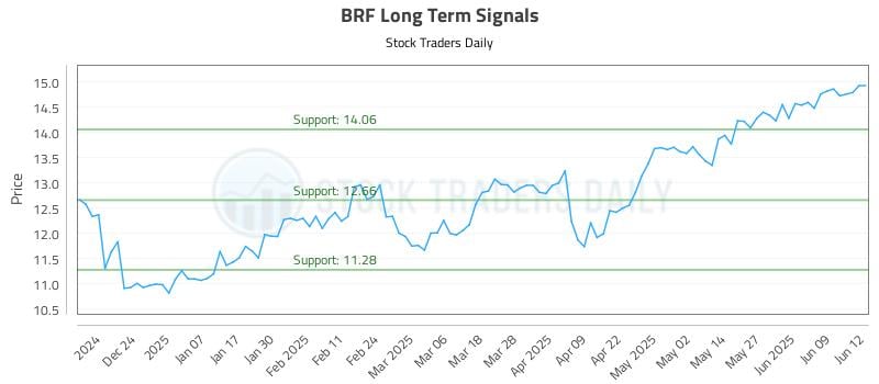 BRF Long Term Analysis for June 13 2025
