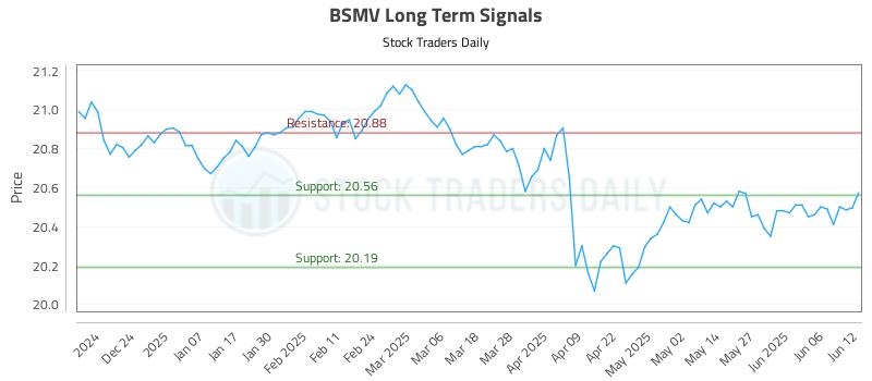 BSMV Long Term Analysis for June 13 2025