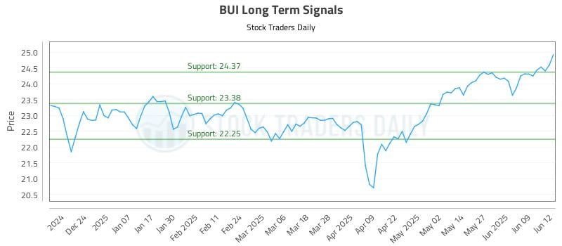 BUI Long Term Analysis for June 13 2025 BUI Long Term Analysis for June 13 2025